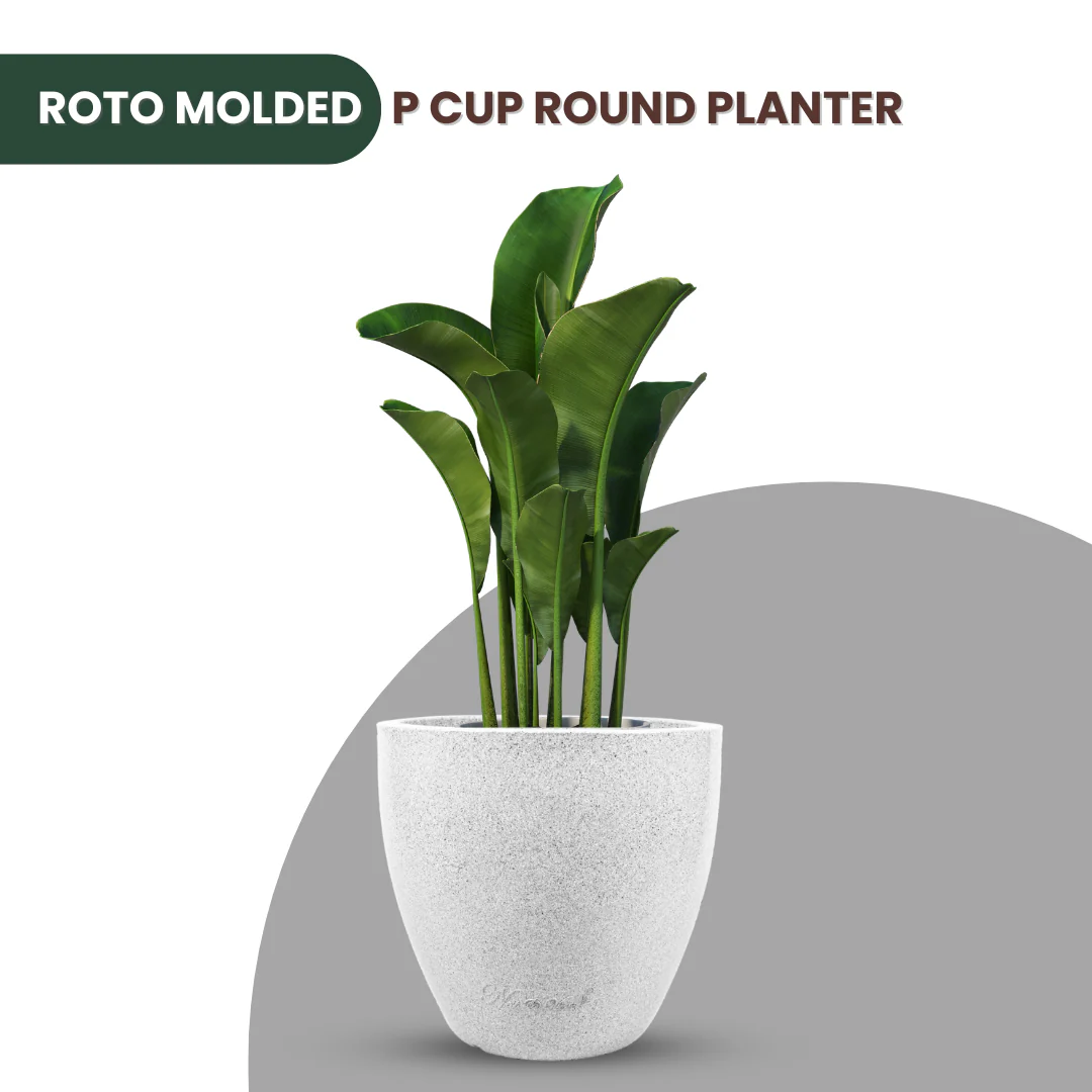 Green Paradise® P CUP Round Roto Molded High Quality Premium Planter - Image 5