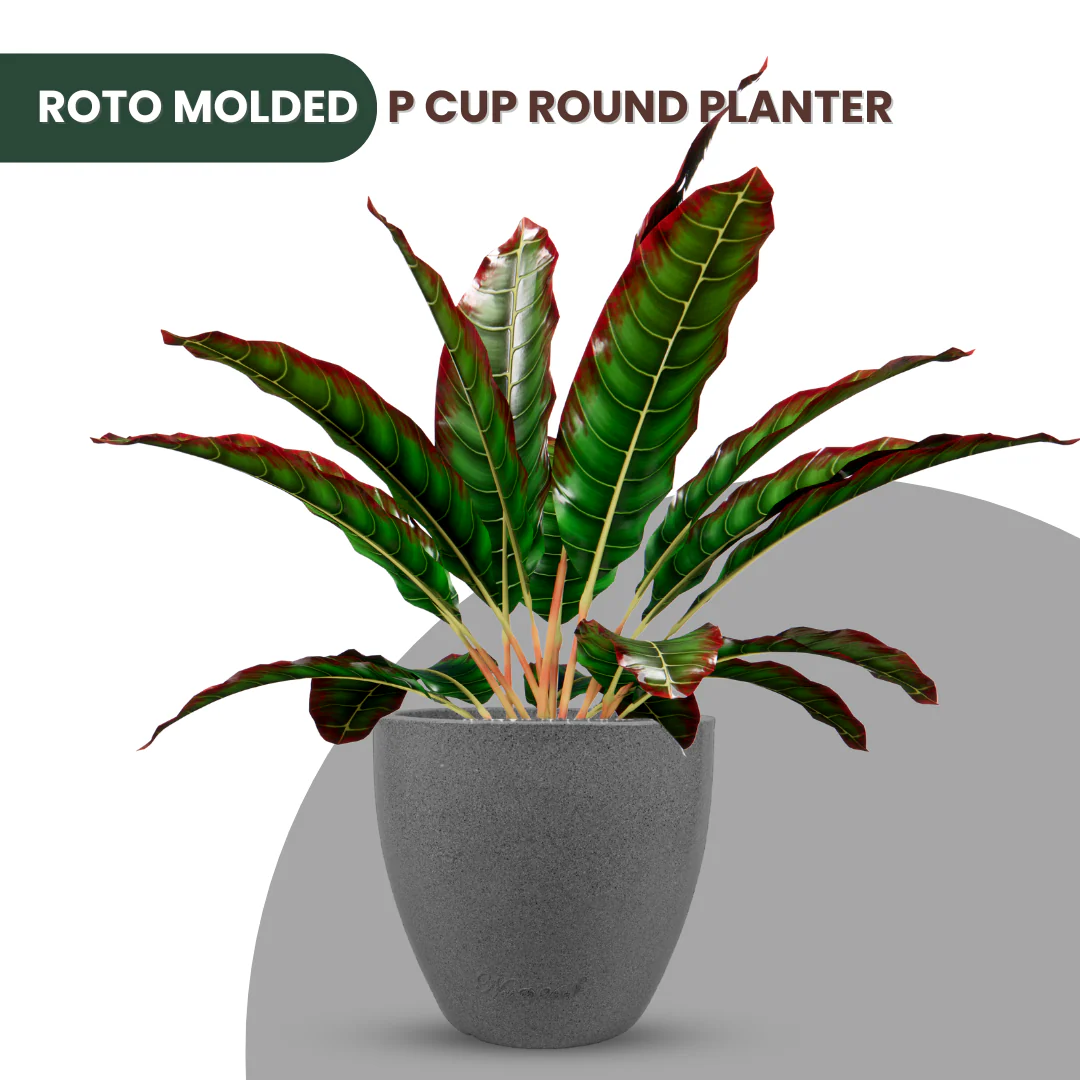 Green Paradise® P CUP Round Roto Molded High Quality Premium Planter - Image 6