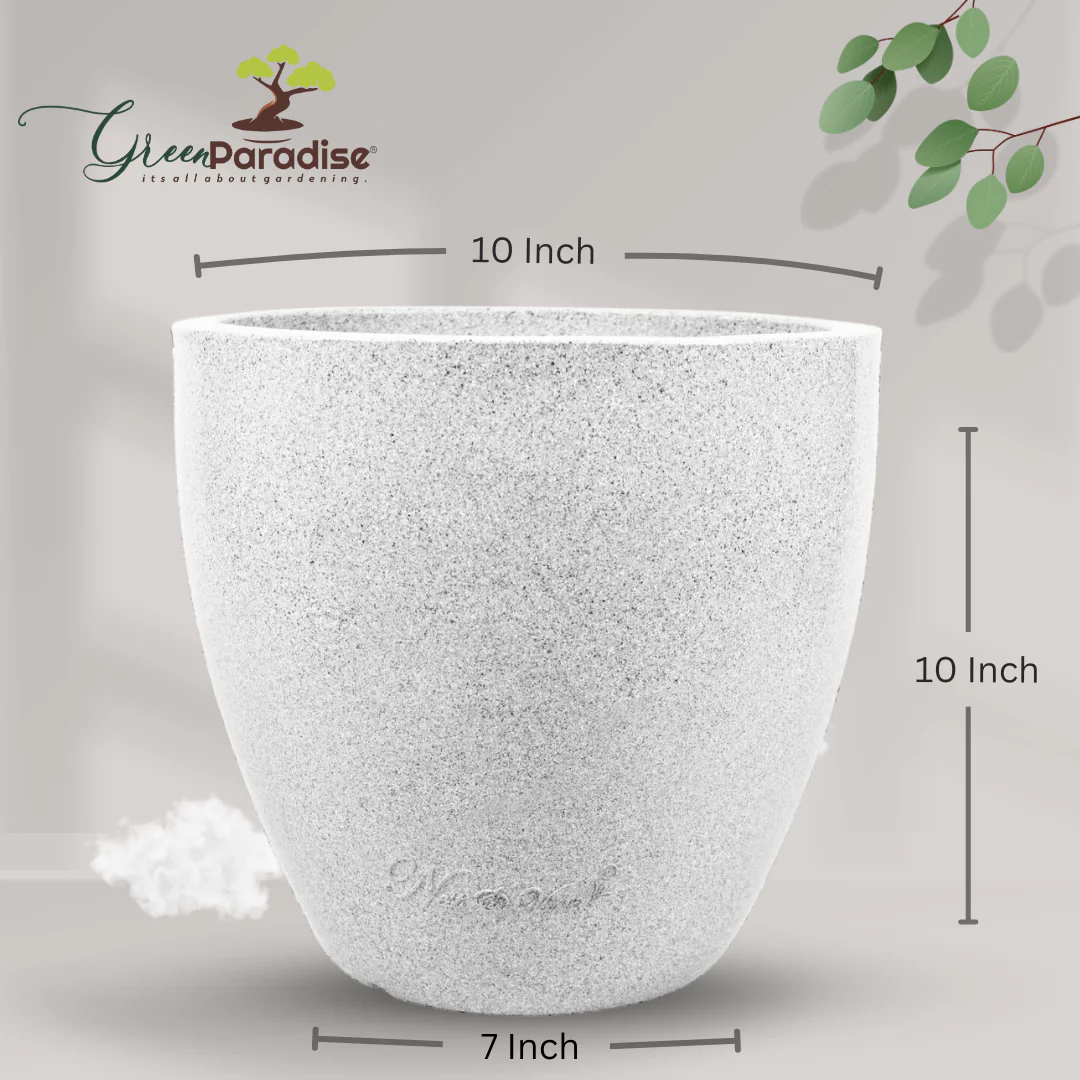 Green Paradise® P CUP Round Roto Molded High Quality Premium Planter - Image 8