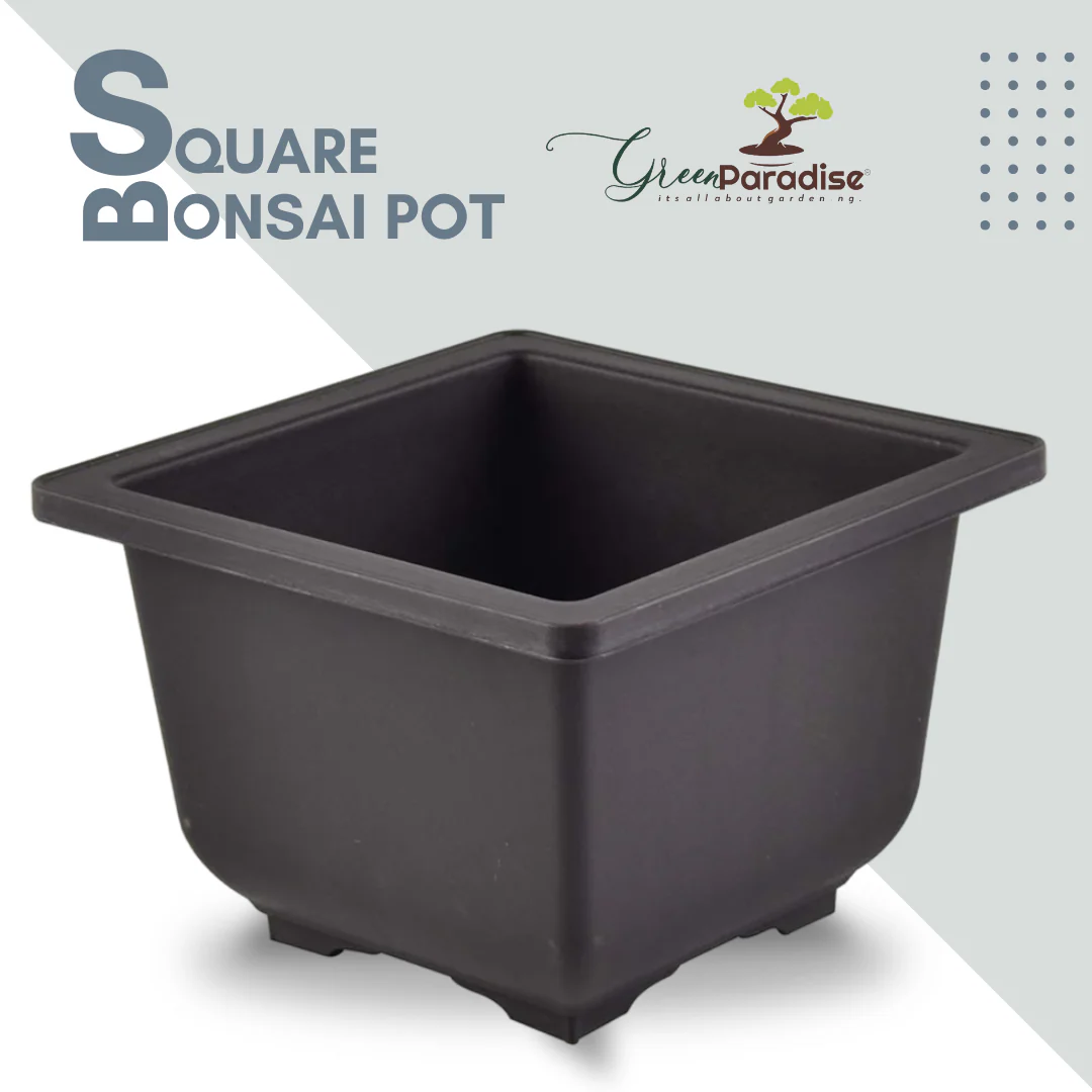 Green Paradise® Bonsai Pots Plastic Bonsai Training Pots (Square )(purple clay color)