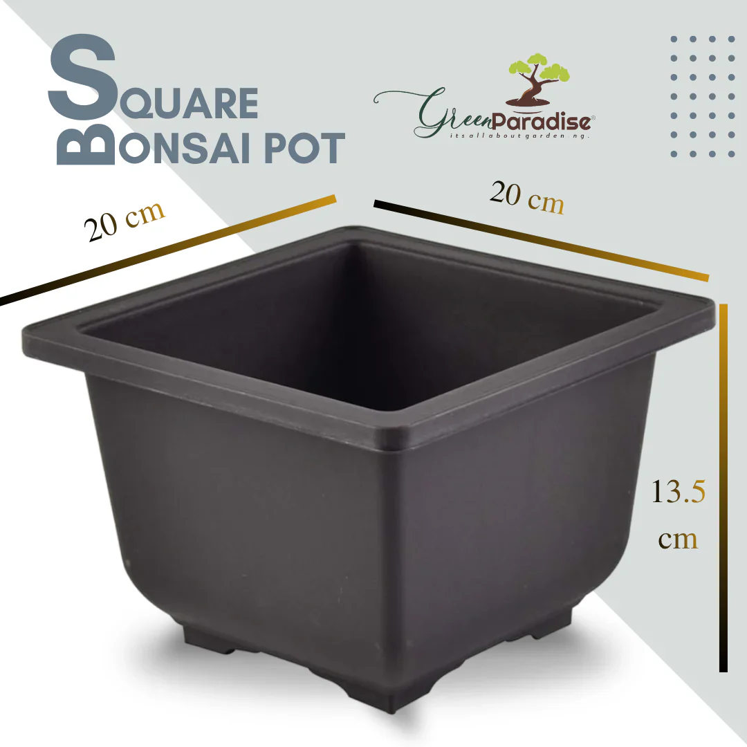 Green Paradise® Bonsai Pots Plastic Bonsai Training Pots (Square )(purple clay color) - Image 11
