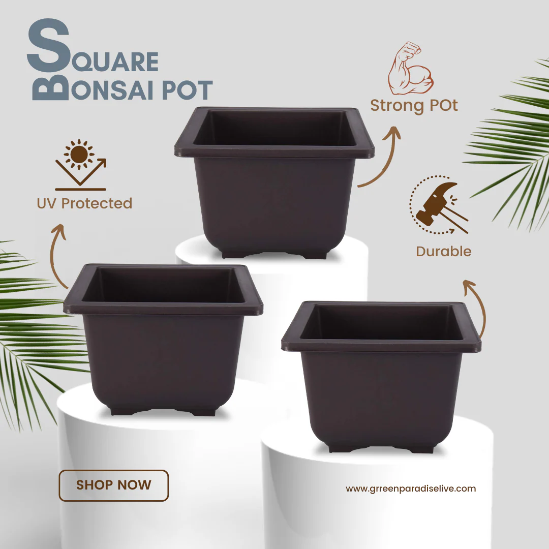 Green Paradise® Bonsai Pots Plastic Bonsai Training Pots (Square )(purple clay color) - Image 3