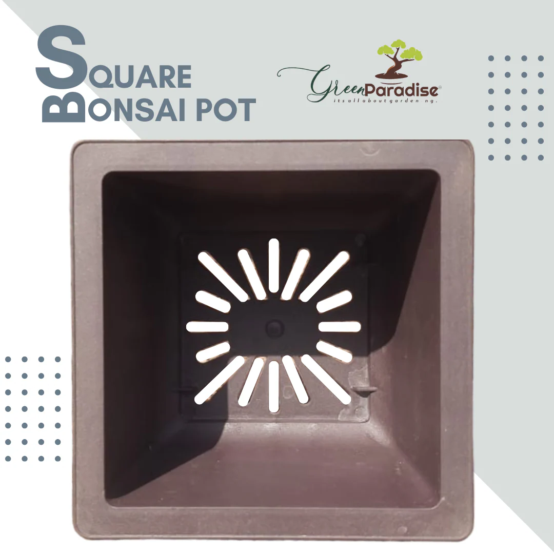 Green Paradise® Bonsai Pots Plastic Bonsai Training Pots (Square )(purple clay color) - Image 4