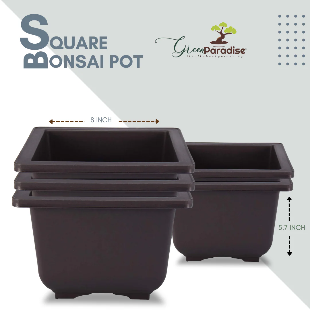 Green Paradise® Bonsai Pots Plastic Bonsai Training Pots (Square )(purple clay color) - Image 6