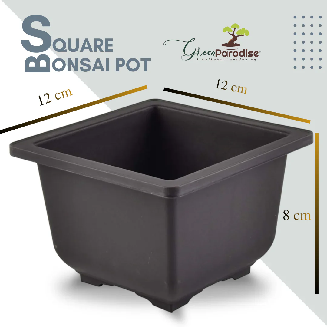 Green Paradise® Bonsai Pots Plastic Bonsai Training Pots (Square )(purple clay color) - Image 8
