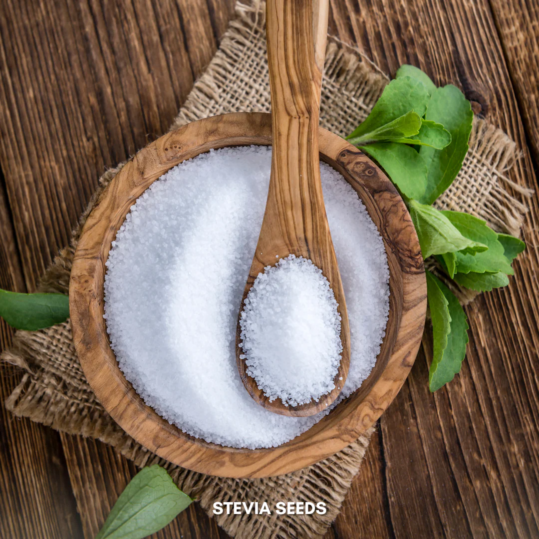 Green Paradise® Stevia IMP (Herbs) Seeds Pack - Image 4