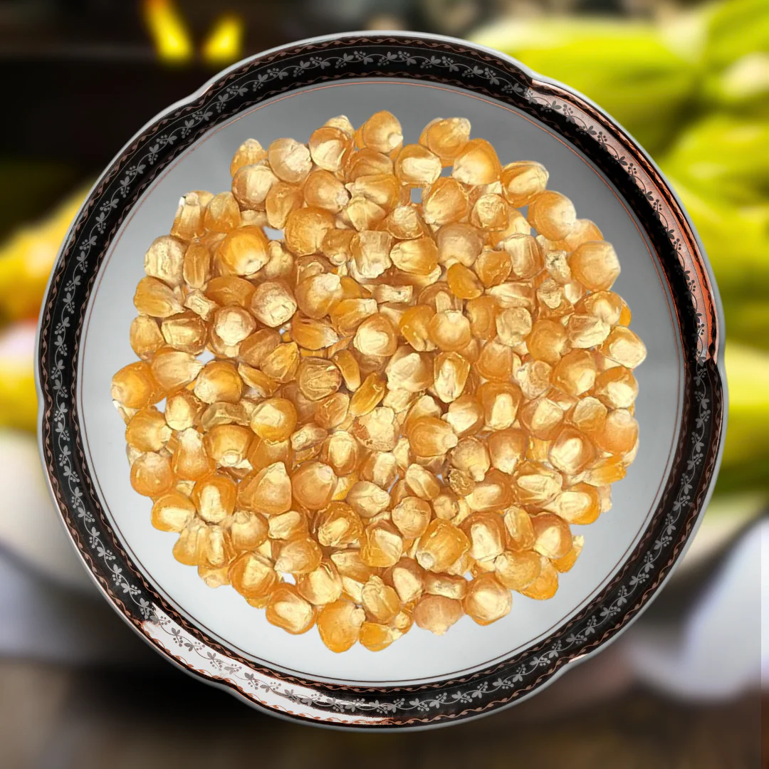 Green Paradise® Sweat Corn F1 Hybrid Seeds Pack - Image 2