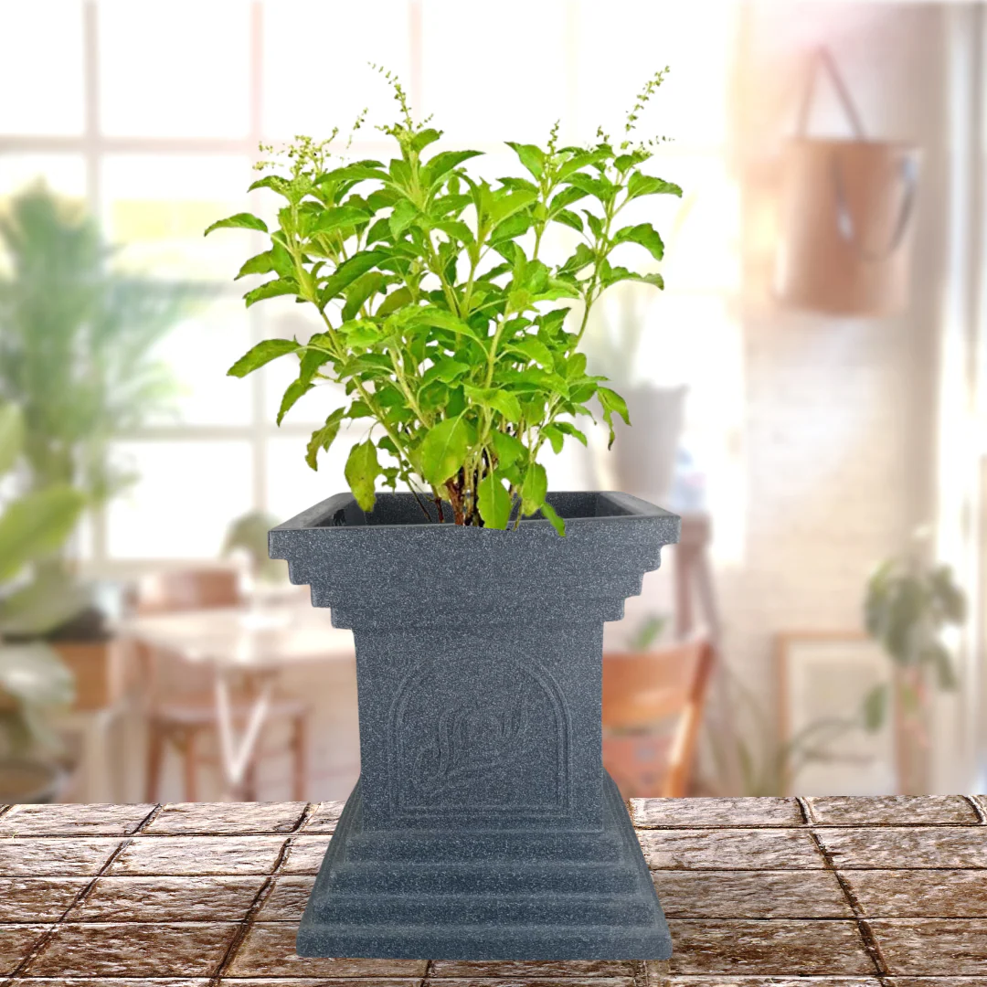 Green Paradise® Temple Base Roto Molded Tulsi High Qaulity Premium Planter - Image 4