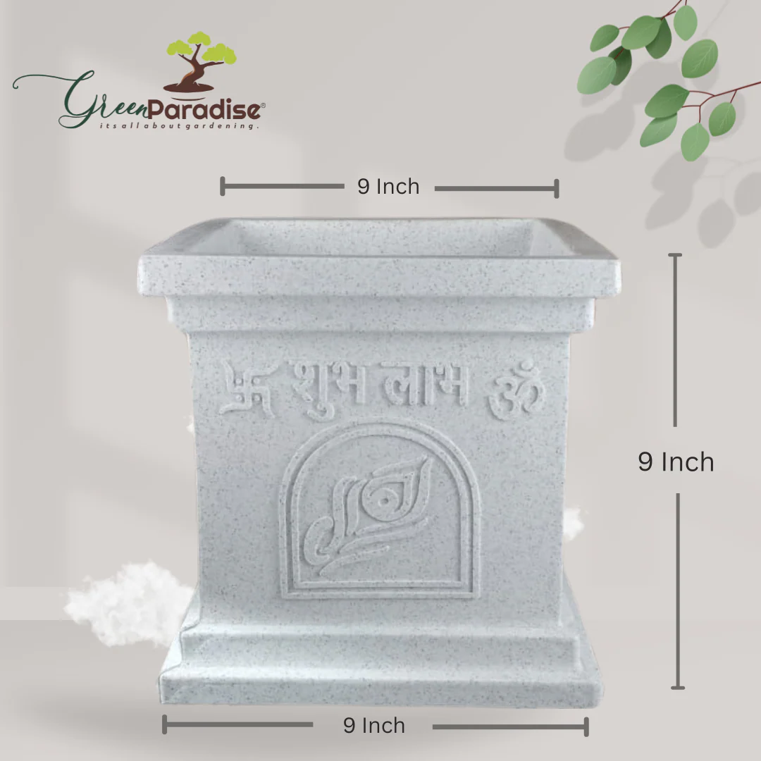 Green Paradise® Tulsi Roto Molded High Qaulity Premium Planter - Image 13
