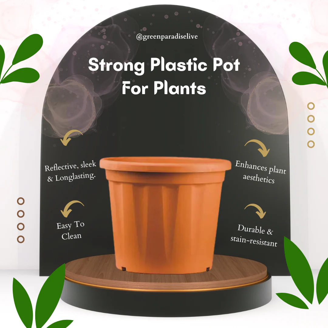 Green Paradise Premium Plastic Pots Durable and Eco-Friendly Plant Container for Healthy Growth - Image 2