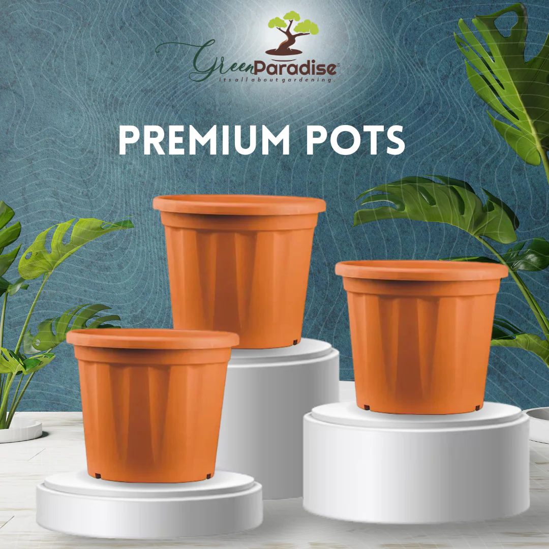 Green Paradise Premium Plastic Pots Durable and Eco-Friendly Plant Container for Healthy Growth - Image 3