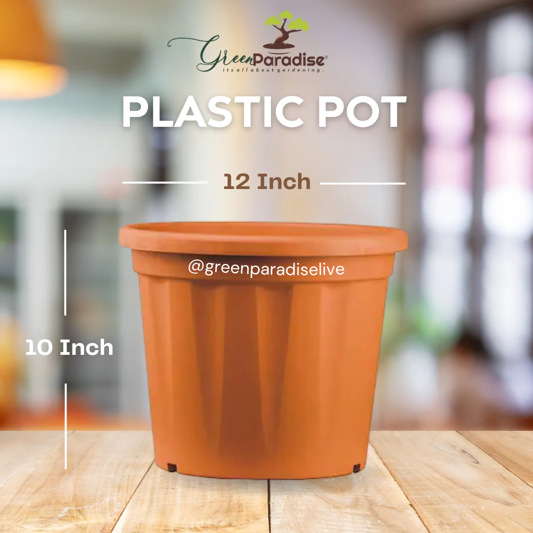 Green Paradise Premium Plastic Pots Durable and Eco-Friendly Plant Container for Healthy Growth - Image 6