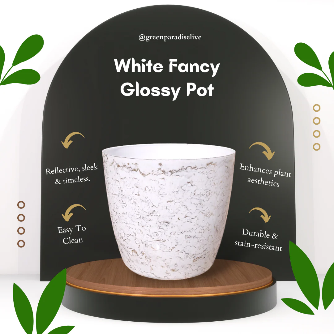 Green Paradise White Glossy Pots With Beautiful Prints 19 cm Pot (set of 3) - Image 2