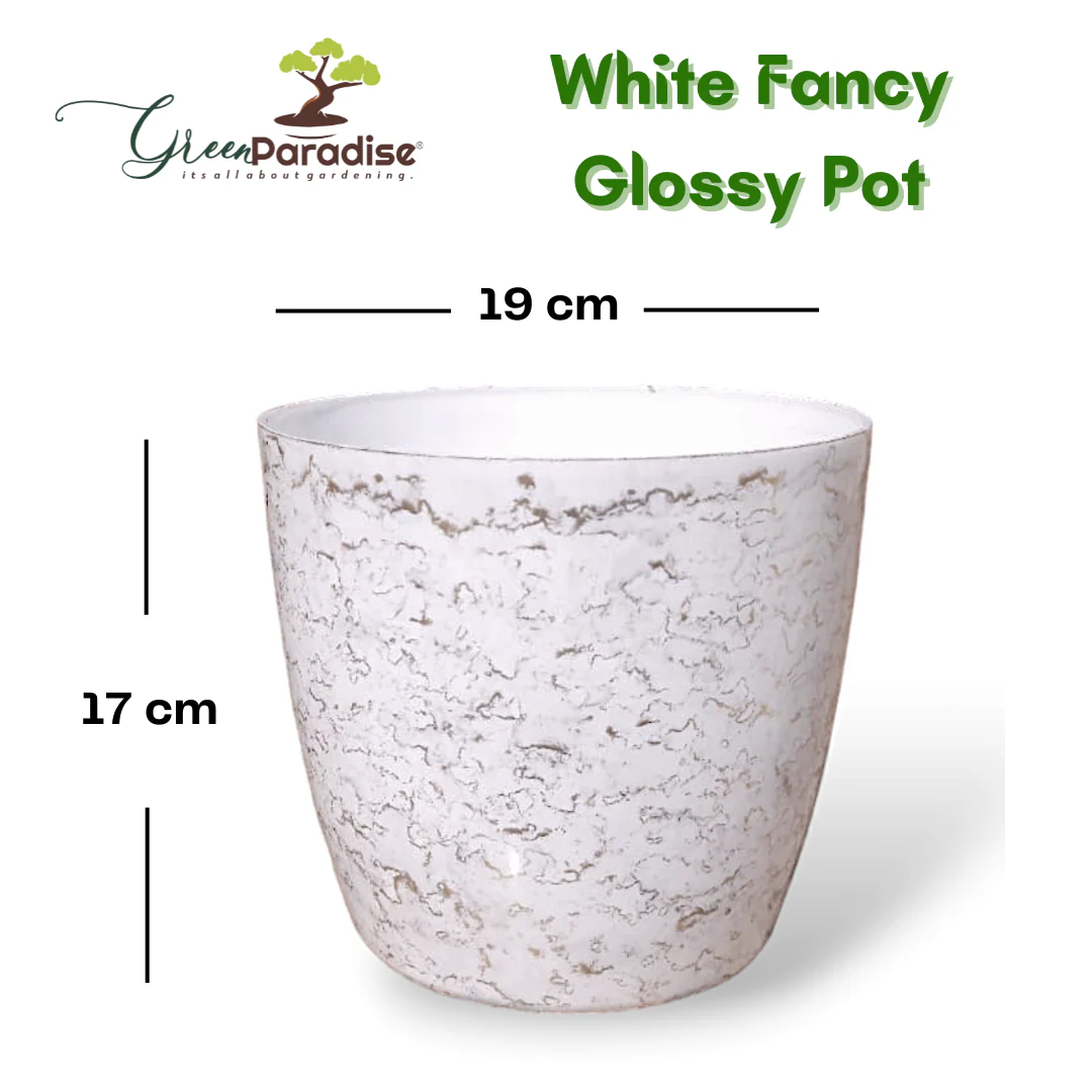 Green Paradise White Glossy Pots With Beautiful Prints 19 cm Pot (set of 3) - Image 3