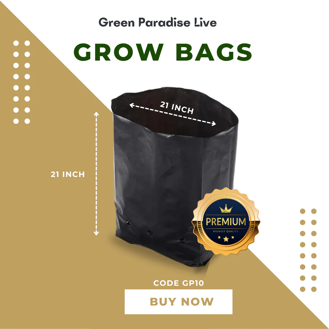 Green Paradise® Growbags UV Stabilized for Kitchen Gardening Hi Quality Poly Bags - Image 12