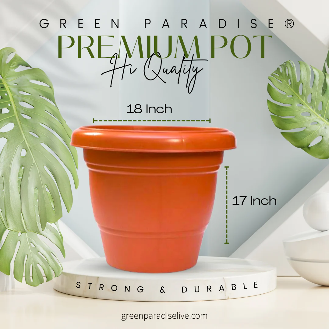 Green Paradise® Hi quality Premium Plastic Pot Terracotta Colour - Image 10