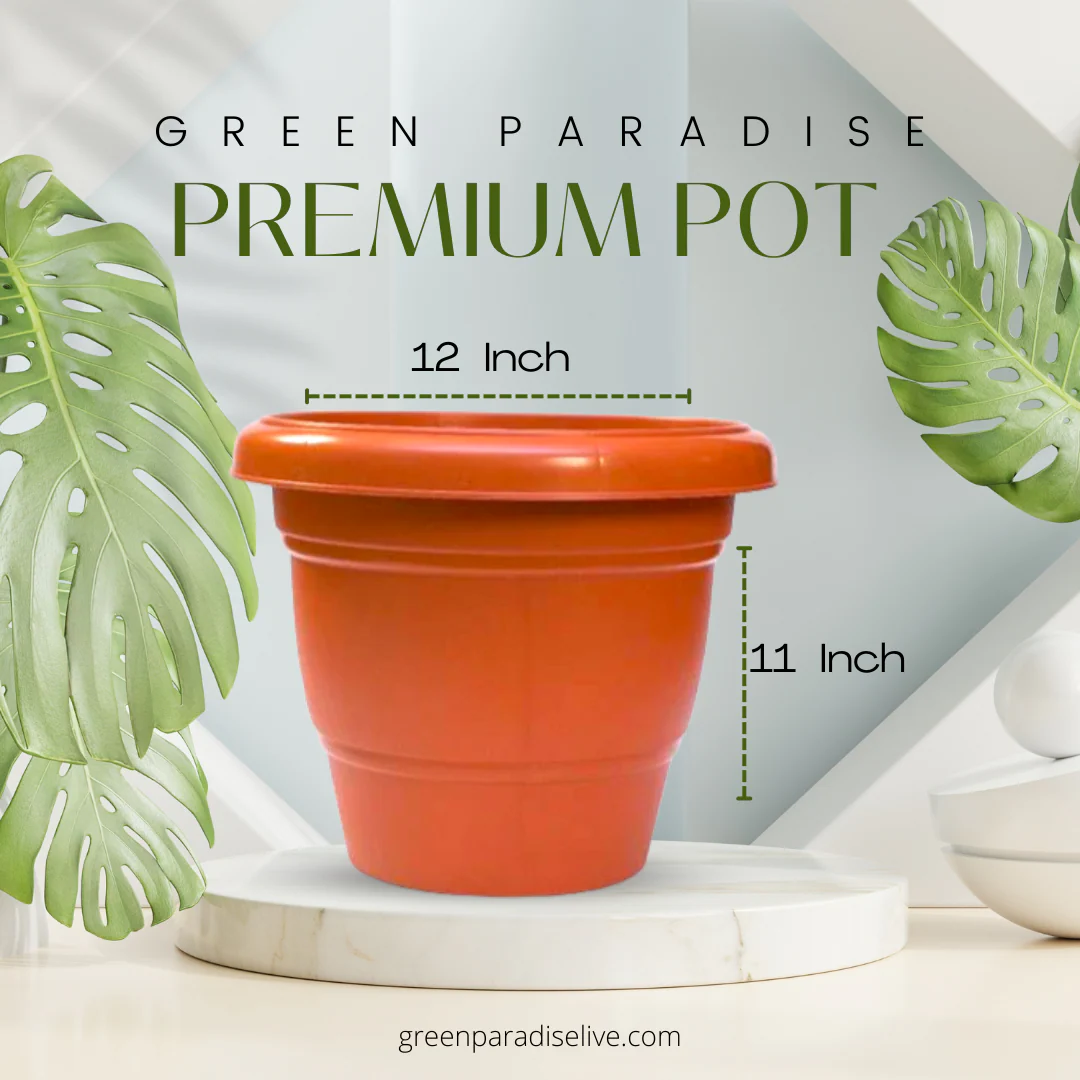 Green Paradise® Hi quality Premium Plastic Pot Terracotta Colour - Image 7