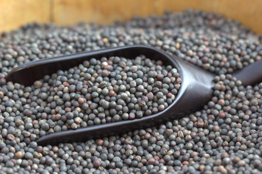 Green Paradise® Kale Seeds - Image 3