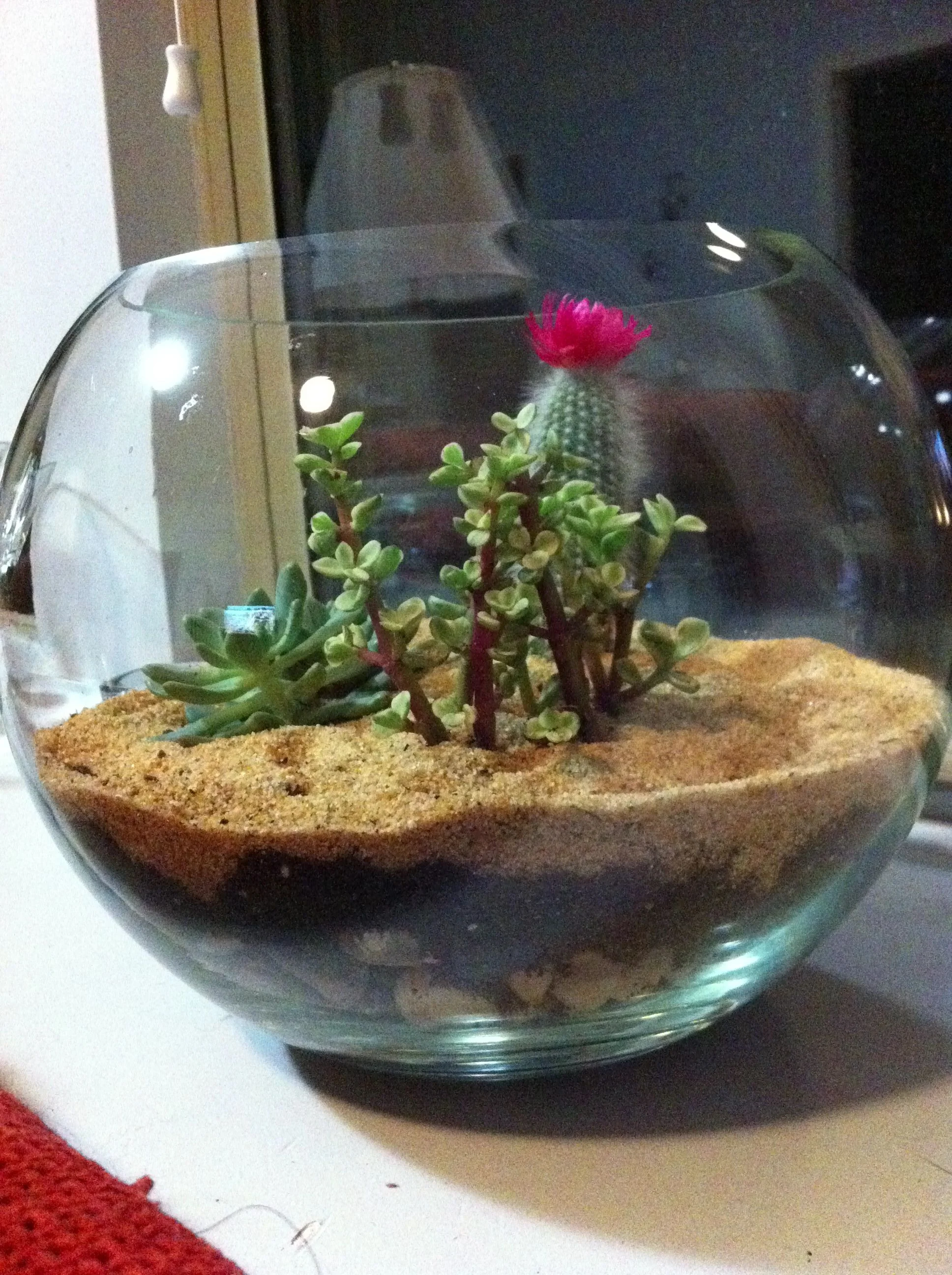 Natural River Sand White Sand Used to Make Ideal soilmix for Bonsai Cactus and Succulents Also for Aquariums terrariums Mini Landscapes and fairygarden - Image 2