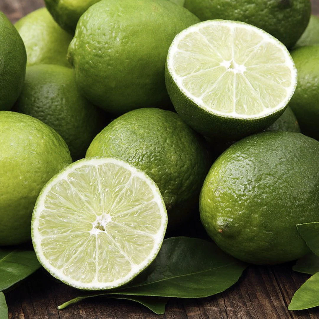 Seedless Lemon Plant Live Healthy Airlayered Seedless Lemon Plant For Kitchen Gardening Lemon Plant in poly bag - Image 2