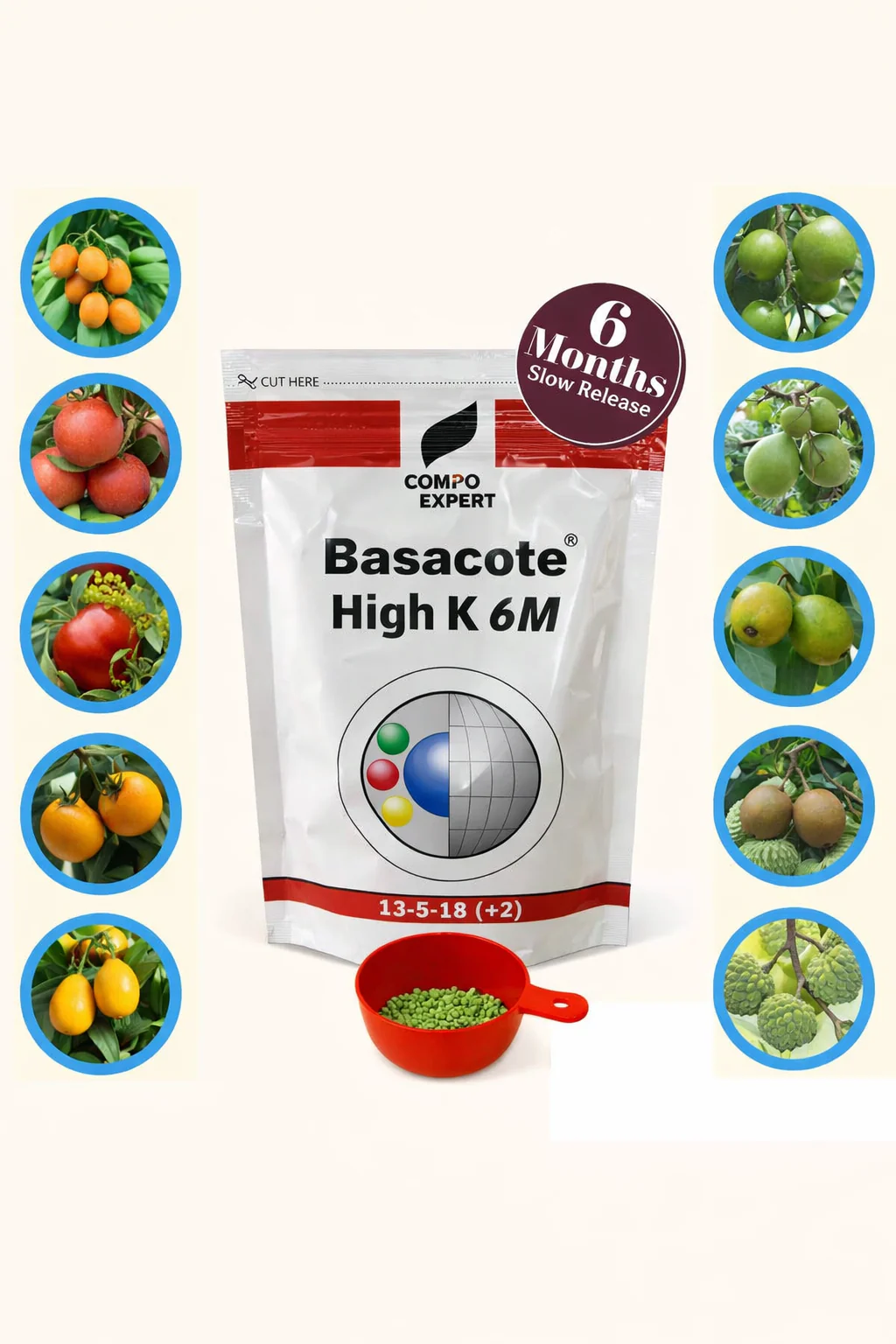 Slow Release Fertilizer (100g pack) 6 Months Slow Release NPK Fertilizer 13-5-18 (+2) + Micronutrients for Bonsai and Other Garden Plants (100g pack) once applied no need to give any fertilizer for next 6 months - Image 2