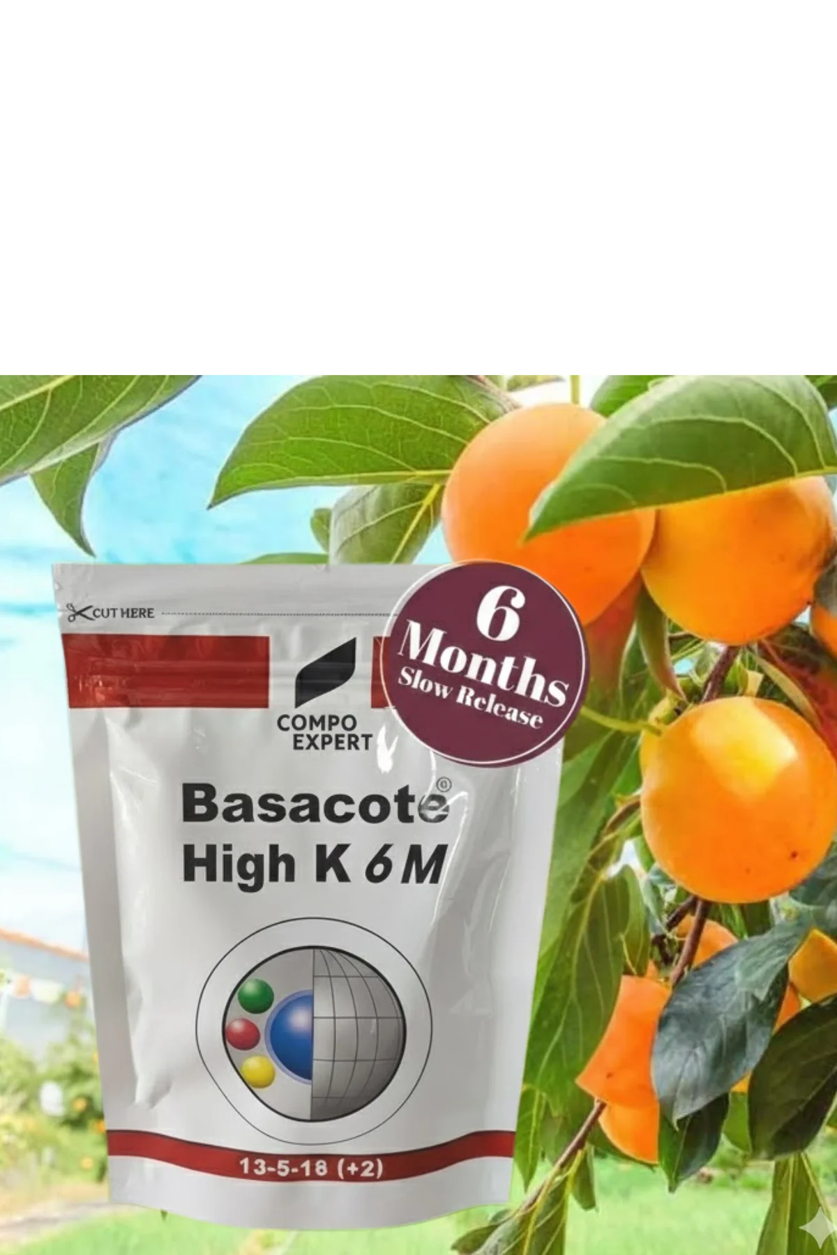 Slow Release Fertilizer (100g pack) 6 Months Slow Release NPK Fertilizer 13-5-18 (+2) + Micronutrients for Bonsai and Other Garden Plants (100g pack) once applied no need to give any fertilizer for next 6 months - Image 3