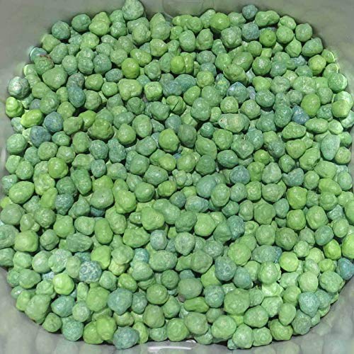 Slow Release Fertilizer (100g pack) 9 Months Slow Release NPK Fertilizer 11-11-16 + Micronutrients for Bonsai and Other Garden Plants (100g pack) once applied no need to give any fertilizer for next 9 months - Image 4