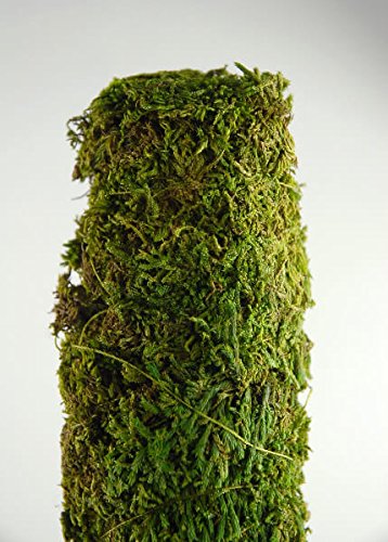 Sphagnum Moss for Orchid Plant Soil,air layering and mulching 250g (Green and Brown) - Image 5