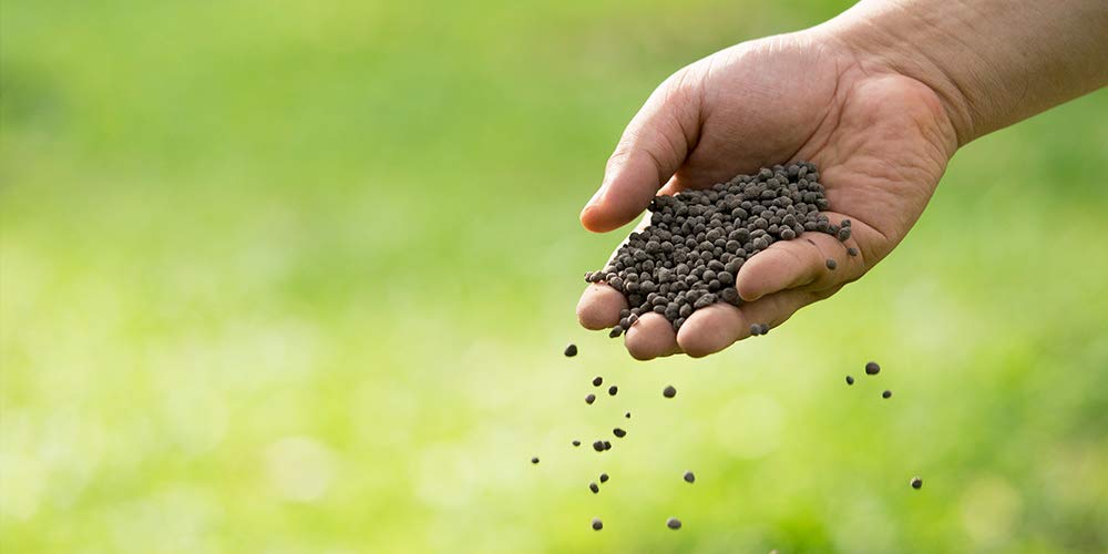 Super Prom Organic Fertilizer Granule by Pradhan-Pack of 5 (2500 Gram) - Image 4