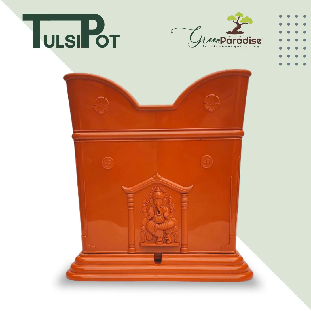 Green Paradise® Tulsi Planter Premium Quality Plastic Pot ( terracotta )