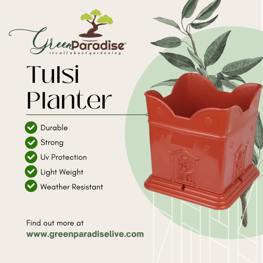 Green Paradise® Tulsi Planter Premium Quality Plastic Pot ( terracotta ) - Image 2