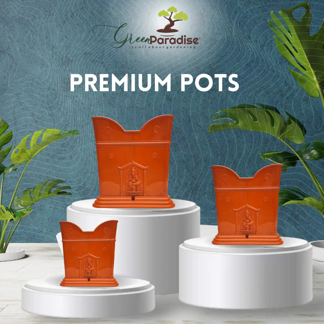 Green Paradise® Tulsi Planter Premium Quality Plastic Pot ( terracotta ) - Image 3
