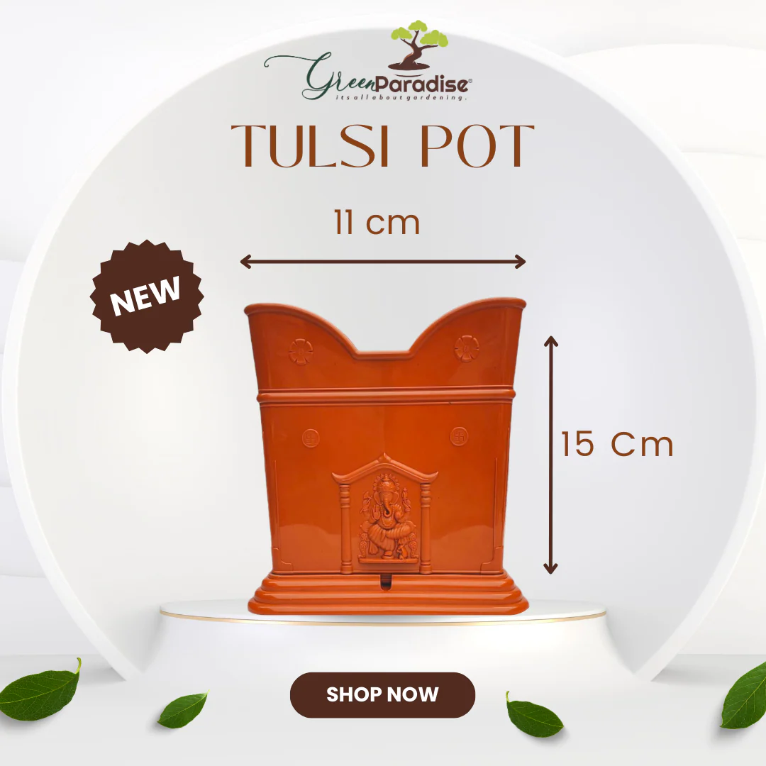 Green Paradise® Tulsi Planter Premium Quality Plastic Pot ( terracotta ) - Image 4